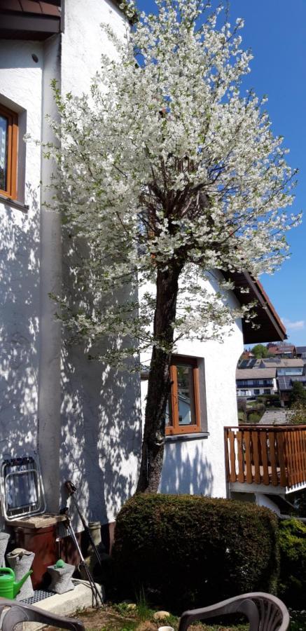 Neukirch  Haus Levi 아파트 외부 사진